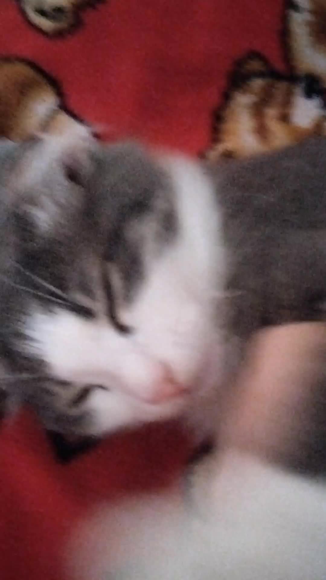 я ВЕРНУЛАСЬ ❤️