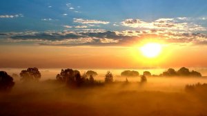 Укрепи, чтоб грех не одолел!