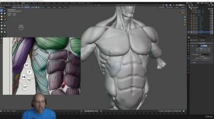 4 Muscles over skeleton part 02