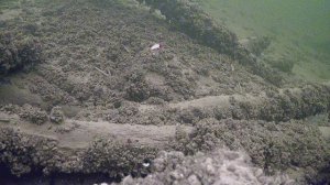 Подледная рыбалка