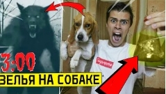 Сергей онис смотреть онлайн