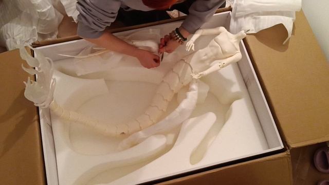 Распаковка Bjd DollZone Adult Ying Long 1/3