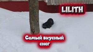 Самый вкусный снег 😊