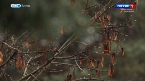 Южный циклон принесет осадки и похолодание в КБР