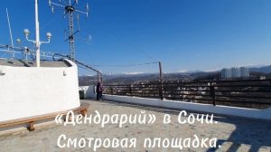 Смотровая площадка «Обзорная поляна». Дендрарий Сочи. Шикарный вид на море город окрестности и горы.