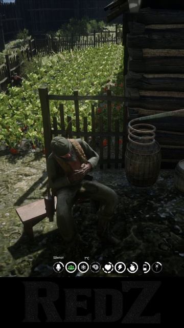 морковь на грядке\дед Алехандро\RedZ\ #rdr2 #rdr2online #gaming #redz