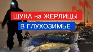 ЩУКА на ЖЕРЛИЦЫ В ГЛУХОЗИМЬЕ. Совет при ловле хищника зимой на жерлицы.