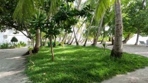 A short walk around Fihalhohi island. November 2022.