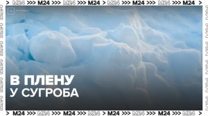 Росгвардейцы спасли девочку, провалившуюся в сугроб на востоке Москвы