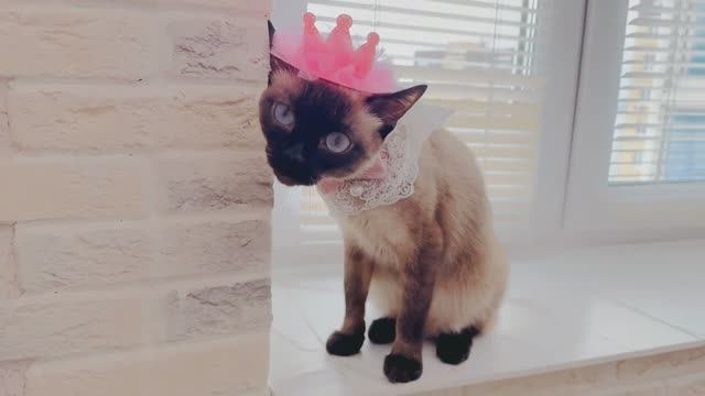 МАСКАРАД-2 смотреть онлайн