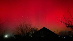 Носочное изобилие 2.Первый отчёт.