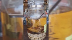 🍙🍇🐍 Японская хавка: онигири, умибудо и змея в бутылке