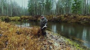 Осень как Осень !