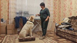 САО. Сидеть/лежать