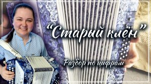 СТАРЫЙ КЛЁН ► Разбор на гармони по цифрам