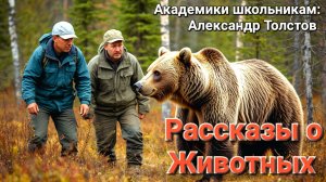 Академики школьникам: рассказы о животных геолога и "натуралиста" Александра Толстова