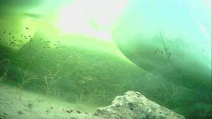 1000010378.mp4Волга гл.2м.25.02.2026г.