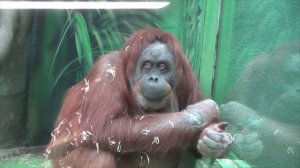 Московский зоопарк 2024 1