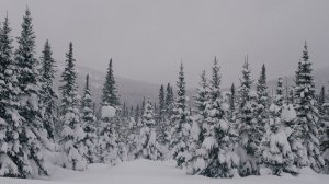 Большой сборник рассказов