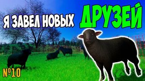 ОВЦЫ И ШЕРСТЬ НА ФЕРМЕ  / Farming Simulator 22 / СОСНОВКА