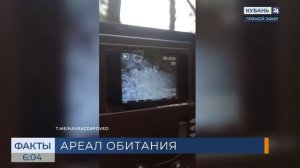 Старый зубр впервые за много лет попал в объектив фотоловушки в пойме реки Белой