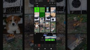 как создать сиреноголоува в кино мастер либо фото с сиреноголовым