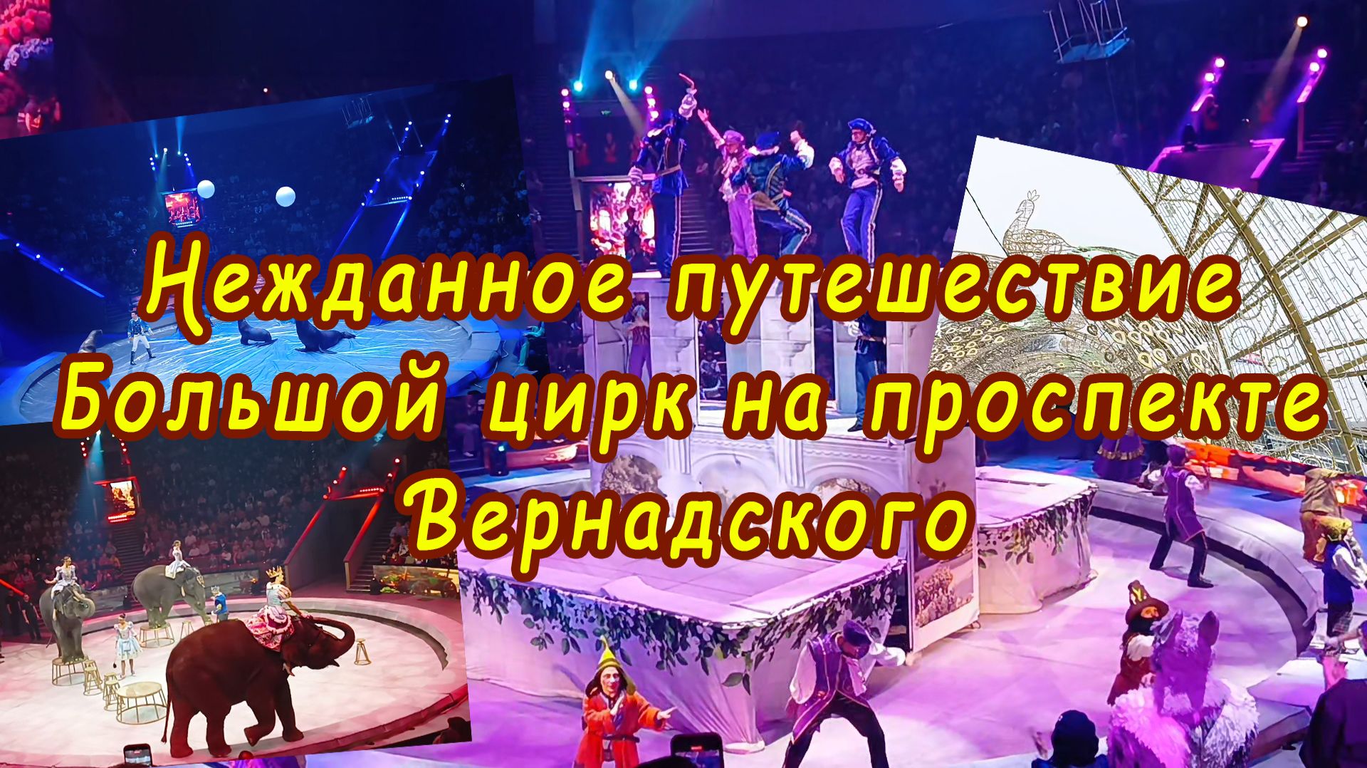 Неожиданная поездка в цирк на Вернадского (клип)