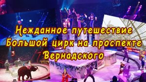 Неожиданная поездка в цирк на Вернадского (клип)