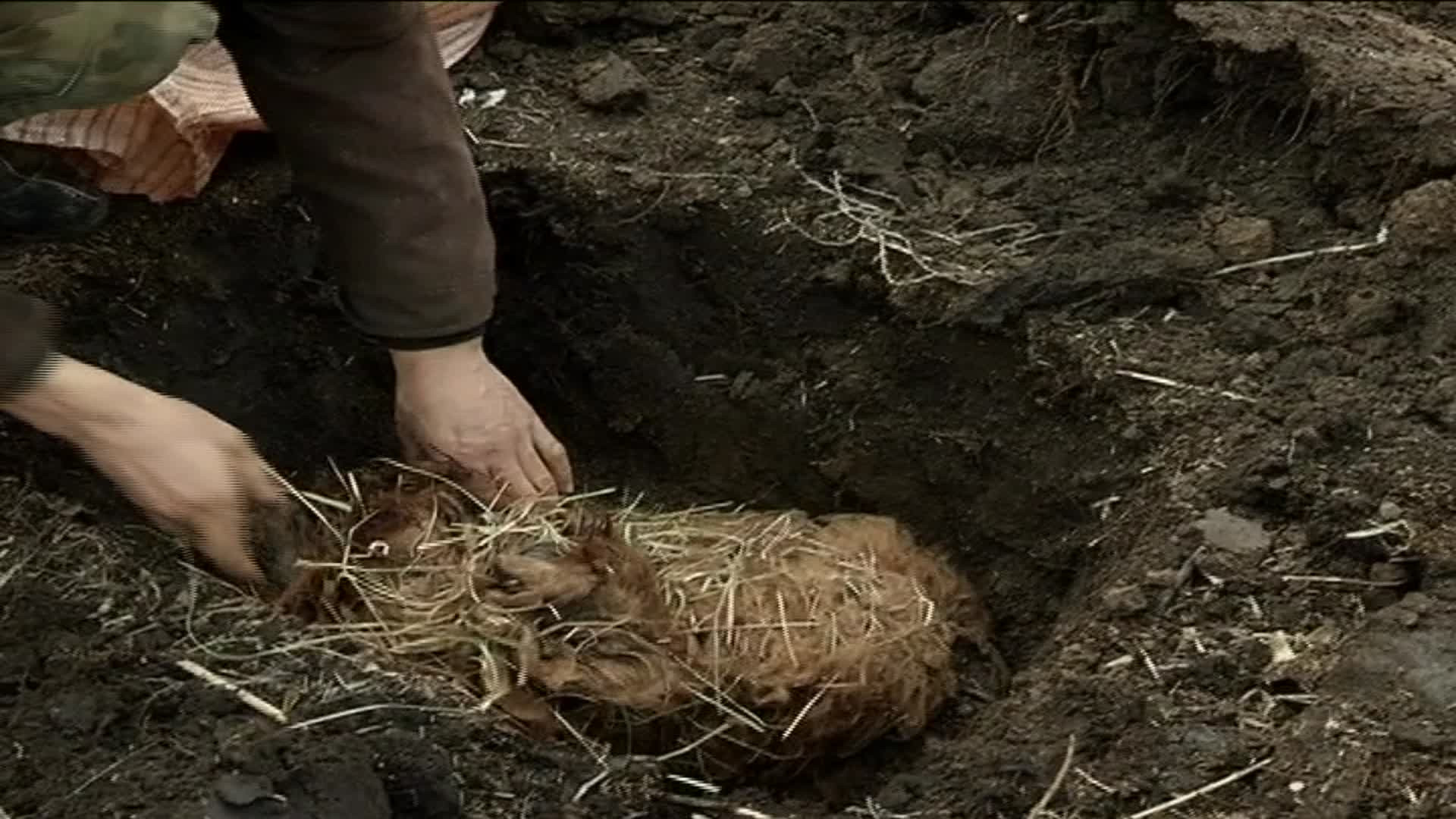 Экстрасенсы ведут расследование, 2 сезон, 11 выпуск