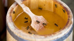 Цены жалят: российский мед подорожает на фоне рекордного неурожая