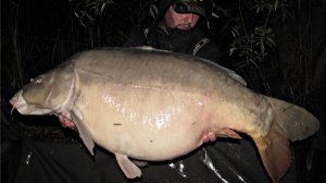 Ловля крупных карпов в Европе. 2015 г. часть 7