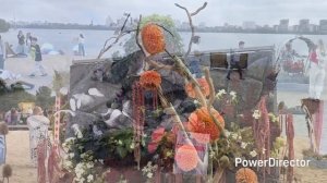 Воронеж город сад 7.09.25 г.