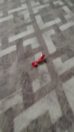 Кот. Космос.