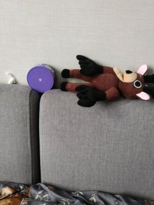 олень сдох 
.