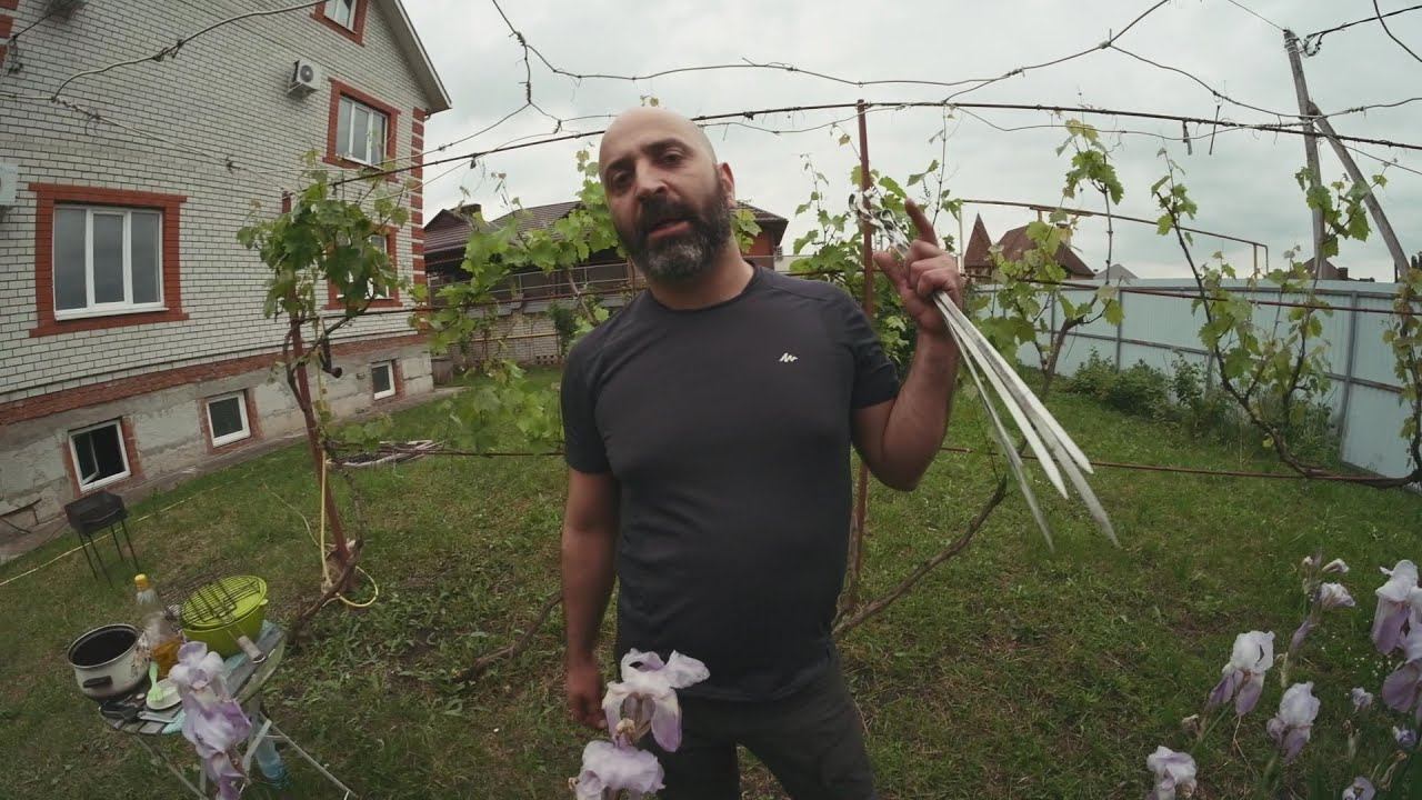 Приглашалка на концерт от Армена.)