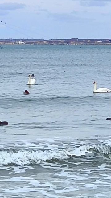 лучший город на земле 🌊☀