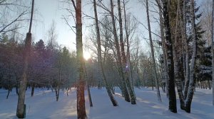 Февральским погожим деньком