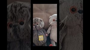 Влог как мы идём к бабушке♥️♥️♥️