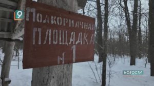 "Следы на снегу": лесной урок для старооскольских школьников прошёл в Дмитриевском заказнике