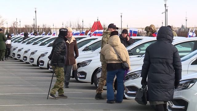 Волгоградцам рассказали, как мошенники обманывают родственников участников СВ смотреть онлайн