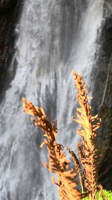 💦Адау — название водопада «Великан» (также известен как «Гигант») в Абхазии. Также «Адау»
