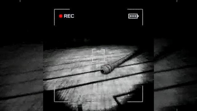 content_warning 1 смотреть онлайн