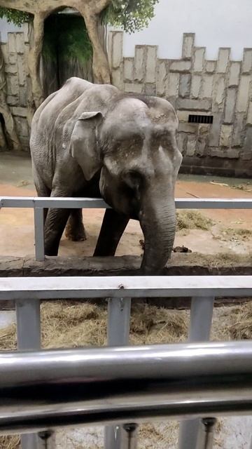 Когда нечем угостить