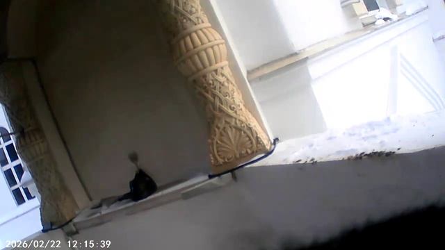 20.02.2026.21 Воскресенье. смотреть онлайн