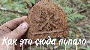 Коп по Войне. Погреб времён ВОВ под развалинами хутора — что сохранилось за 80 лет?