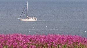 Лекция по навигации 1