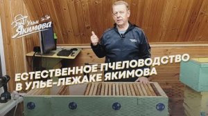 Естественное пчеловодство в улье-лежаке Якимова