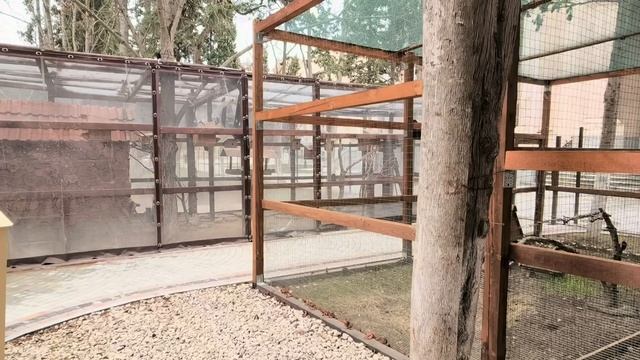 Новый Херсонес 2026. Зооуголок "Ковчег". Севастополь. Крым.