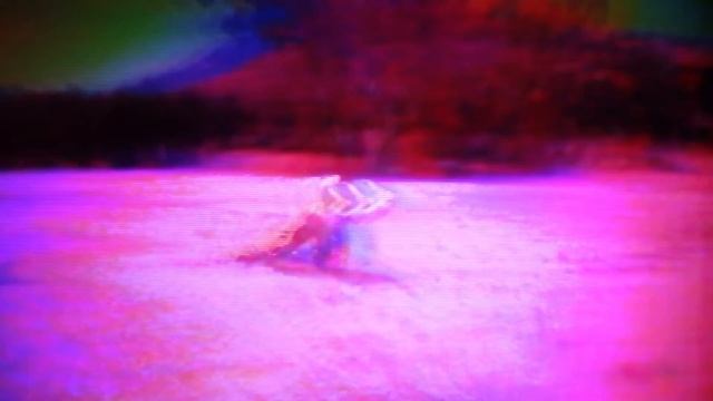 Nuclear Daisies - Toad