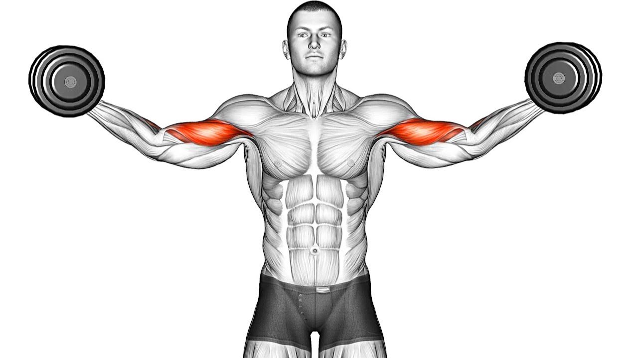 14 Упражнений с Гантелями в домашних условиях